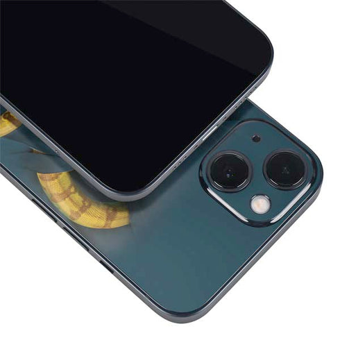 Boa Constrictor by Vincent Hie iPhone Skins